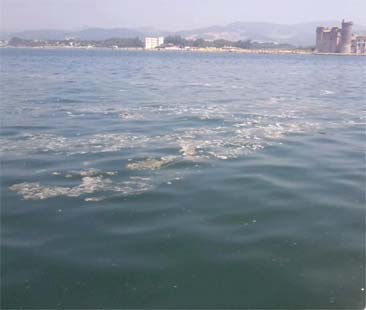 Così uccidono il mare dell’Isola