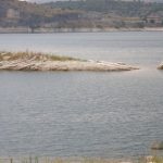 La diga di Santa Rosalia senza controlli: rifiuti, servizi scadenti e pesca di frodo