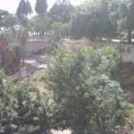 Orto Pasqualello a Gela: anni di promesse infrante per una valorizzazione ancora lontanissima