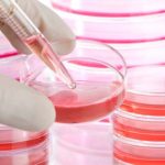 Metodo Stamina, bocciatura. “Un’eutanasia di Stato”