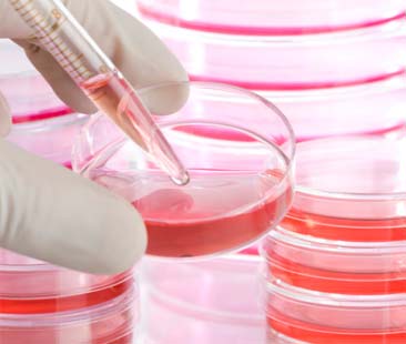 Metodo Stamina, bocciatura. “Un’eutanasia di Stato”