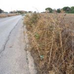 Modica, la zona fra Tre Casucce e Torre Rodosta dimenticata