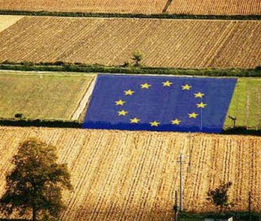 Le ricadute della nuova Pac in Sicilia