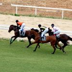 Palermo – Cavalli e scommesse clandestine, un business da 500 mila euro