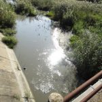 Caos allagamenti nella Piana di Catania, si pensa soltanto a interventi tampone