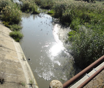 Caos allagamenti nella Piana di Catania, si pensa soltanto a interventi tampone