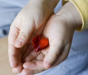 Donazione organi, la Sicilia continua il trend positivo del 2012