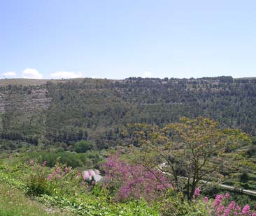 I nostri Parchi respingono i turisti