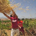 Regione siciliana: 15 mln di euro per recuperare i beni confiscati alla criminalità