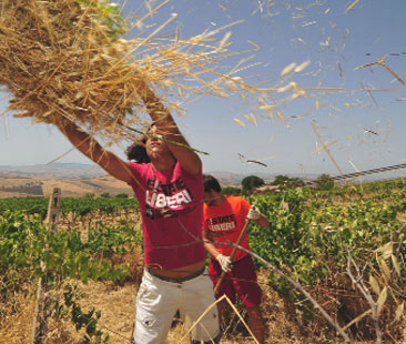 Regione siciliana: 15 mln di euro per recuperare i beni confiscati alla criminalità Regione siciliana: 15 mln di euro per recuperare i beni confiscati alla criminalità