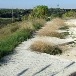 Siracusa – Lo spreco del Parco Mulinello di Augusta
