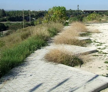 Siracusa – Lo spreco del Parco Mulinello di Augusta