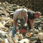 Ciclo del legno, questo sconosciuto