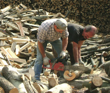 Ciclo del legno, questo sconosciuto Ciclo del legno, questo sconosciuto