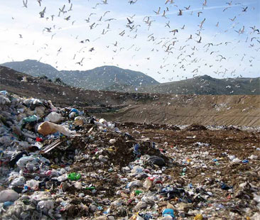 Negli Usa i danni ecologici sono enormi. Il 70% dei rifiuti va a finire in discarica