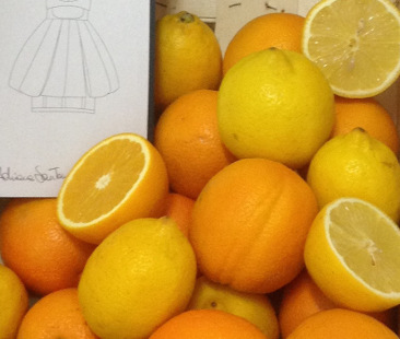 Startup, due ragazze siciliane sul tetto del mondo