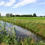 Reti colabrodo, soldi solo al personale