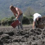 Agricoltori siciliani vessati dalla Regione