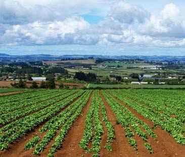 Stoppare le aste di imprese agricole ormai preda della criminalità organizzata