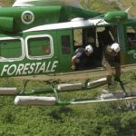 “Vero o falso”: Corpo Forestale contro le agro piraterie