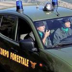 Forestali sul piede di guerra: Regione confusa