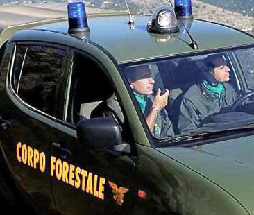 Forestali sul piede di guerra: Regione confusa Forestali sul piede di guerra: Regione confusa