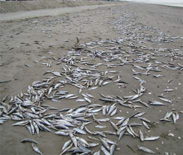 Ambiente, spesa pazza della Regione