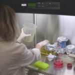 Immunoterapia (2° puntata): rieducare le cellule per sconfiggere il cancro