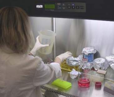 Immunoterapia (2° puntata): rieducare le cellule per sconfiggere il cancro Immunoterapia (2° puntata): rieducare le cellule per sconfiggere il cancro