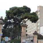 Chirurgia plastica, a Palermo restituito volto ad un uomo