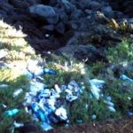 Impianto per il riciclo di buste di plastica; meno emissioni e maggiori risorse