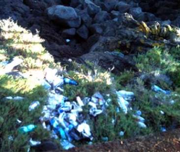 Impianto per il riciclo di buste di plastica; meno emissioni e maggiori risorse