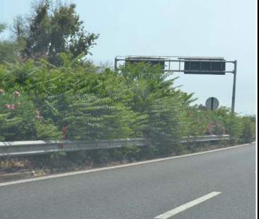 Quella brutta e sporca autostrada Messina-Catania