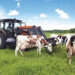 Energia dai rifiuti alla siciliana, il progetto pilota è… in Tunisia