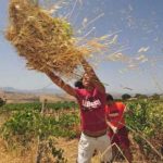 Beni confiscati, un patrimonio sempre più spesso sprecato