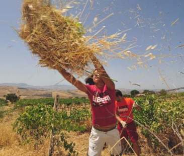Beni confiscati, un patrimonio sempre più spesso sprecato