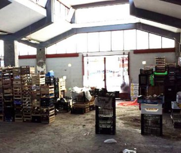 Catania – Mercato coperto e scuola Capponi due grandi vergogne di Picanello Catania – Mercato coperto e scuola Capponi due grandi vergogne di Picanello