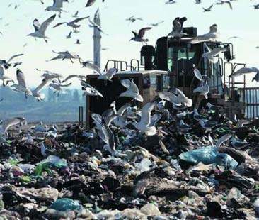 Ambiente, audizione sul piano dei rifiuti