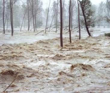 M5S: su fondi per alluvionati “frottola” di Crocetta M5S: su fondi per alluvionati “frottola” di Crocetta