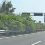 Autostrade siciliane: brutte, sporche e carissime