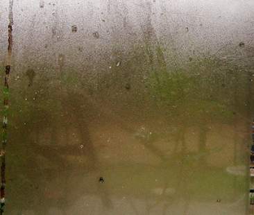 Pa siciliana bocciata in trasparenza, cosa c’è da nascondere? Pa siciliana bocciata in trasparenza, cosa c’è da nascondere?