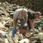 Boschi, il patrimonio incompreso