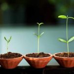 Startup in Italia (e in Sicilia), ecco qualche numero