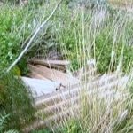 Palermo – Quella discarica della vergona alle pendici di Monte Pellegrino