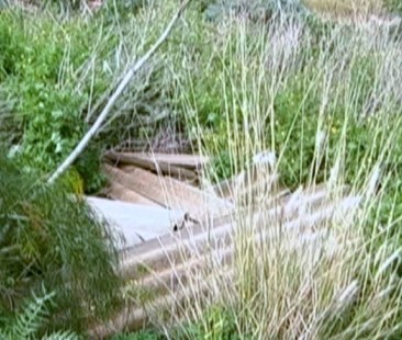 Palermo – Quella discarica della vergona alle pendici di Monte Pellegrino