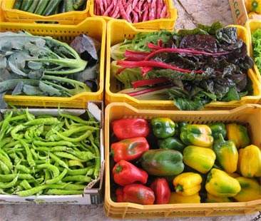 Export agriSicilia: no rete… no party Export agriSicilia: no rete… no party