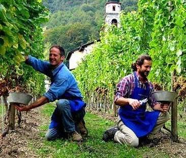 Imprenditori agricoli, stop ai corsi di formazione