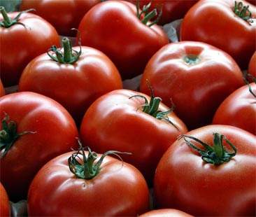 Alimentazione: i pomodori per combattere l’atrofia muscolare