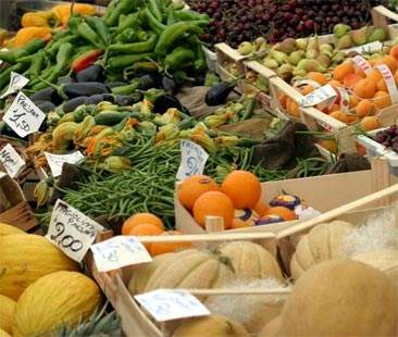 Accordo Ue-Marocco devasta l’agricoltura siciliana Accordo Ue-Marocco devasta l’agricoltura siciliana