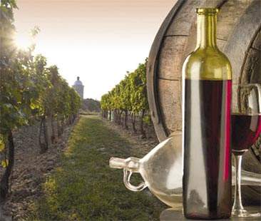 La Sicilia non trova la Strada del vino